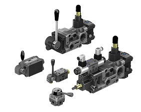 Polyhydron Directional Control Valves